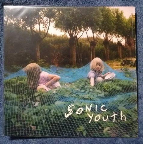 Lp Sonic Youth (Seminovo) Grunge