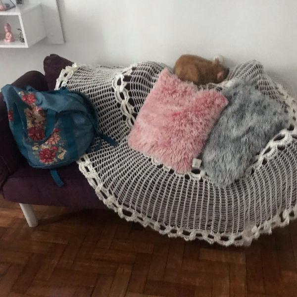 sofa cama roxo