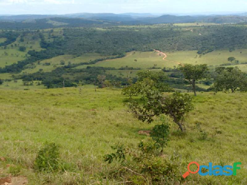 162 Alqs Excelente Fazenda Cocalzinho De Goiás