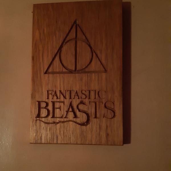 placa decorativa Harry Potter