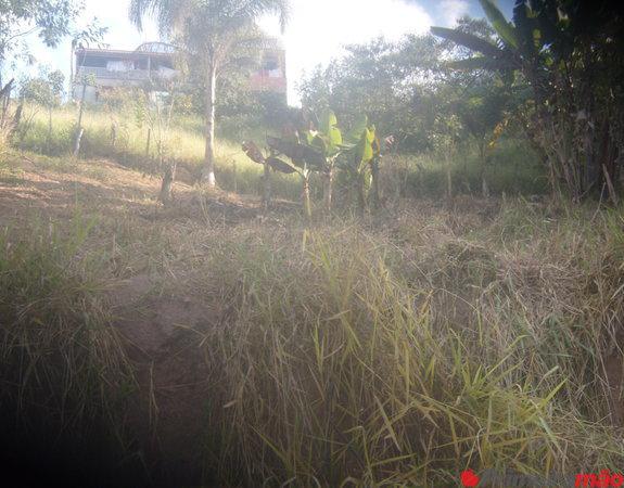 Terreno á Venda em Francisco Morato