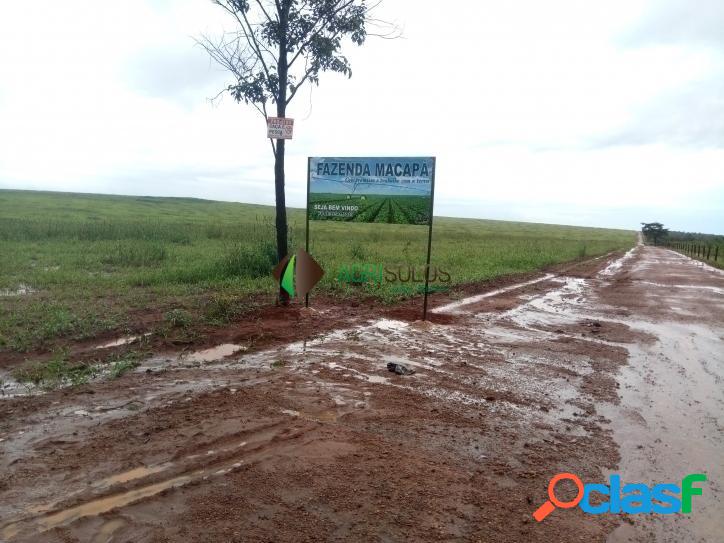 FAZENDA 2.950 Ha P/ IRRIGAÇÃO/ PRODUÇÃO DE SEMENTES