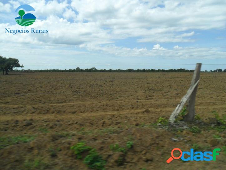 Fazenda Araguacema 5420 hectares