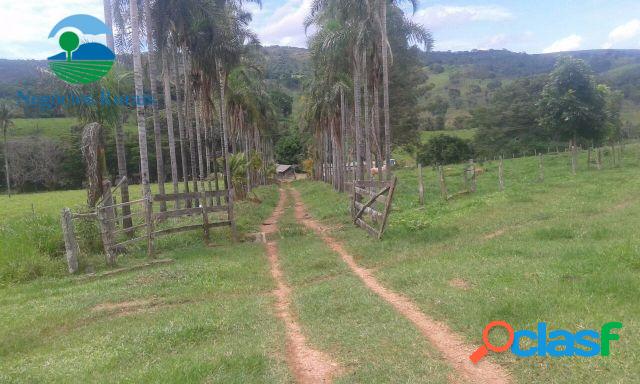 Fazenda Cocalzinho 340 hectares