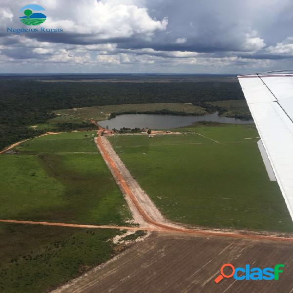 Fazenda de soja Mato Grosso 9700ha