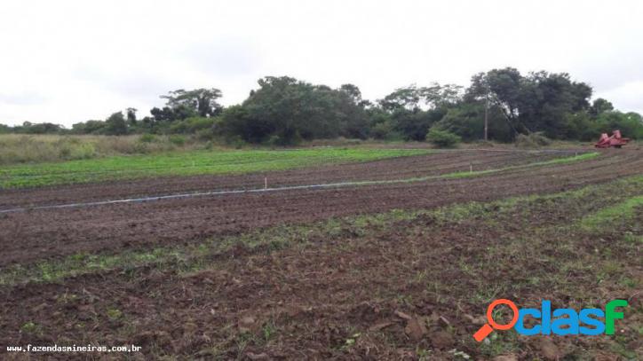 Fazenda para Venda em Santo Hipólito / MG no bairro FAZENDA