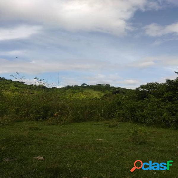 Grande Finca de 200 hectáreas ubicada en Tinaquillo