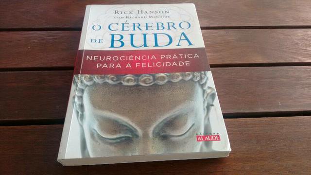 O Cérebro de Buda: Neurociência para a Felicidade