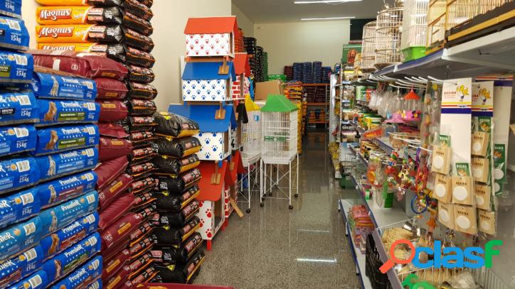 Pet shop- Ponte Rasa