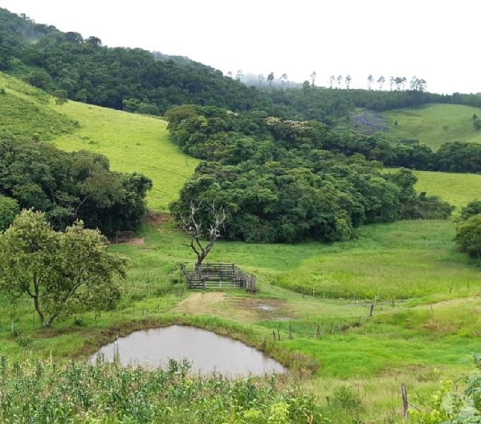 Sítio de 15 alqueires a venda em Joanópolis sp