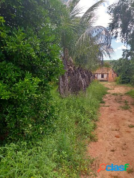 Ótima propriedade de 44ha em Três Marias - Terreno plano -