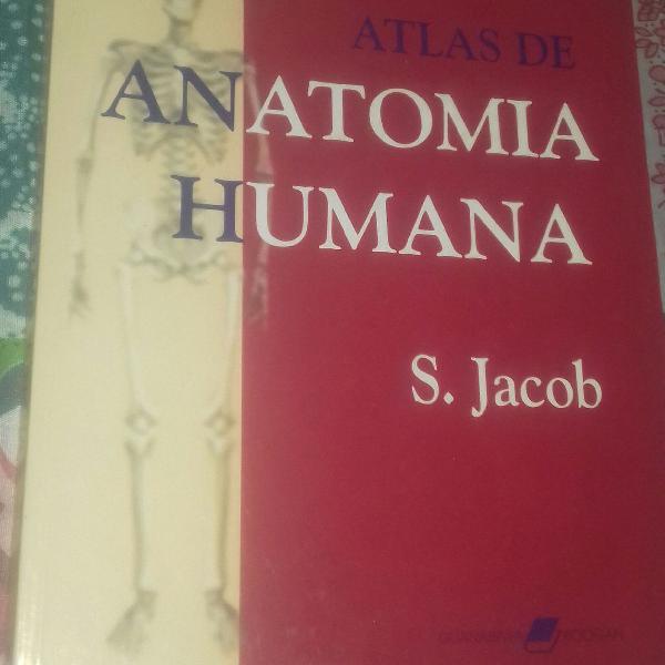 livro atlas de anatomia humana S. Jacob p medicina