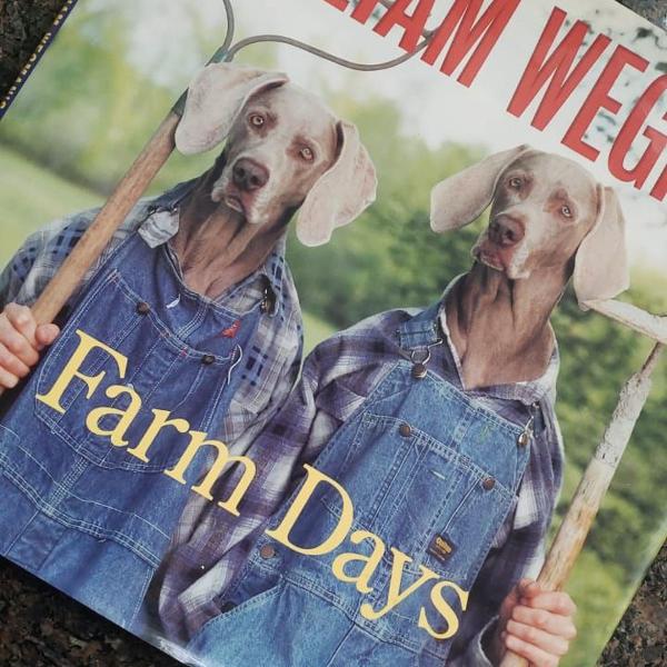 livro farm days