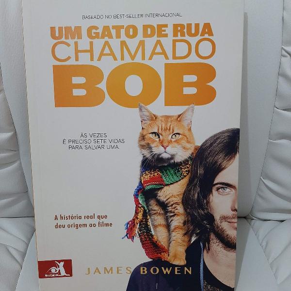 livro um gato de rua chamado bob
