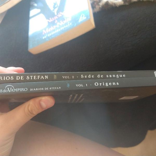 livros diários de Stefan