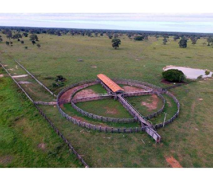 Fazenda 15.000 hectares em Poconé-MT (aproveitamento 65%)