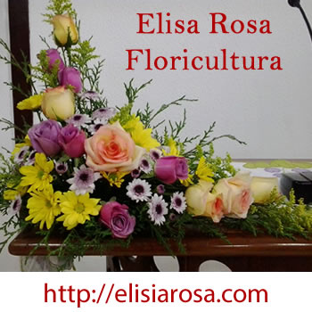 Floricultura Elisia Rosa