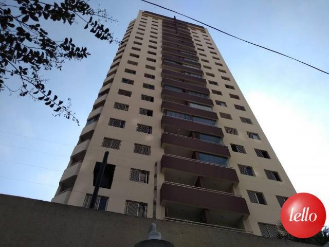 Apartamento para alugar com 3 dormitórios em Tatuapé, São