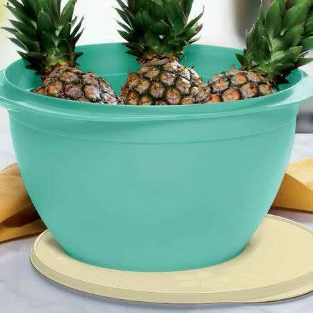 Tigela Tupperware 10l