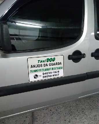 Táxi dog anjos da guarda transporte de pets