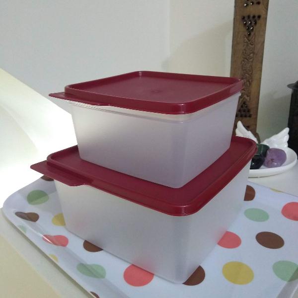 cjto tupperware basic line