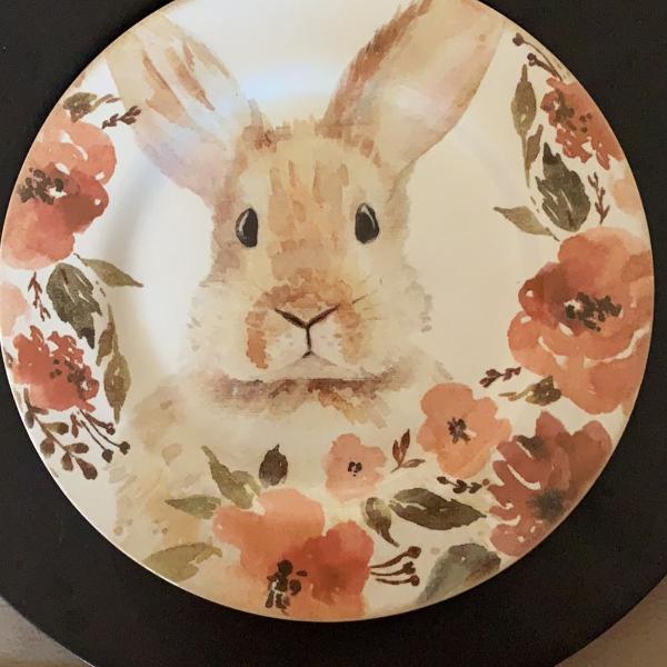 coelhos para vida toda
