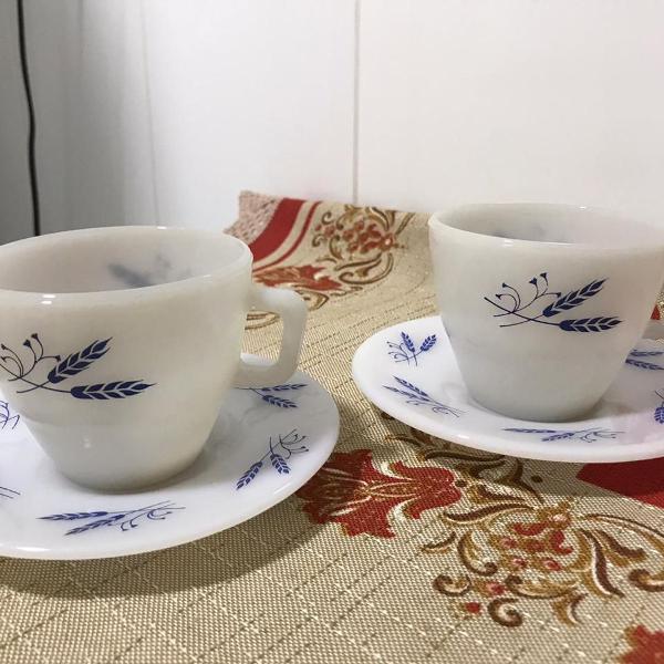 par de xícaras de chá colorex opalinada azul e branca com