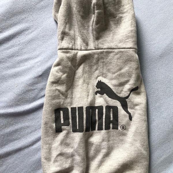 roupa de cachorro