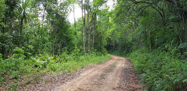 Chácara 14.401,41m2 marmeleiro almirante Tamandaré.