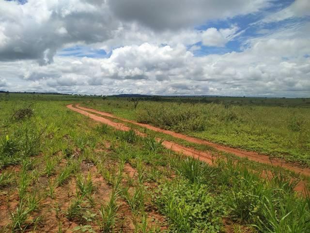 Fazenda 73 alqueires | valor oportunidade | Ac. Permutas