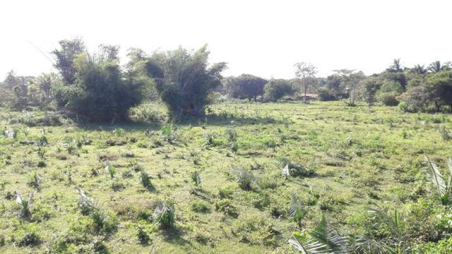 Terreno Padrão Vender em São José de Ribamar (Localidade