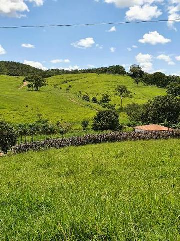 VENDO 14 ALQUEIRES REGIÃO PIRENÓPOLIS-GO