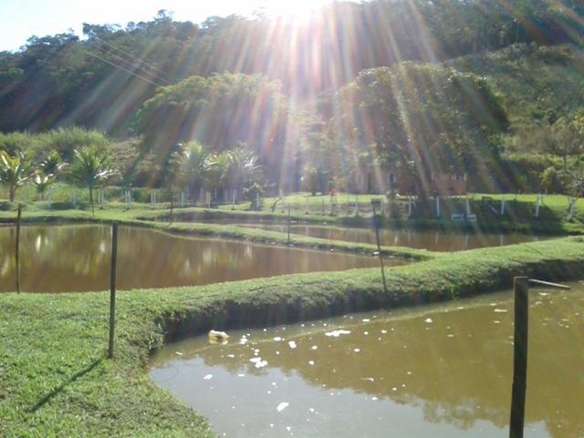 Vendo sitio distrito de tebas leopoldina mg