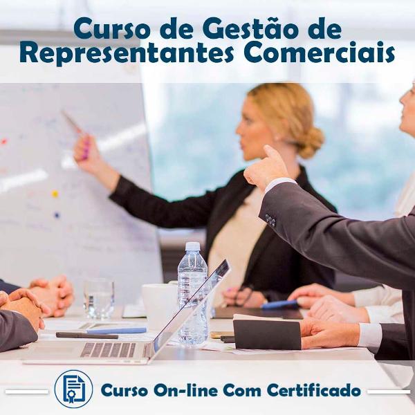 curso online em videoaula de gestão de representantes