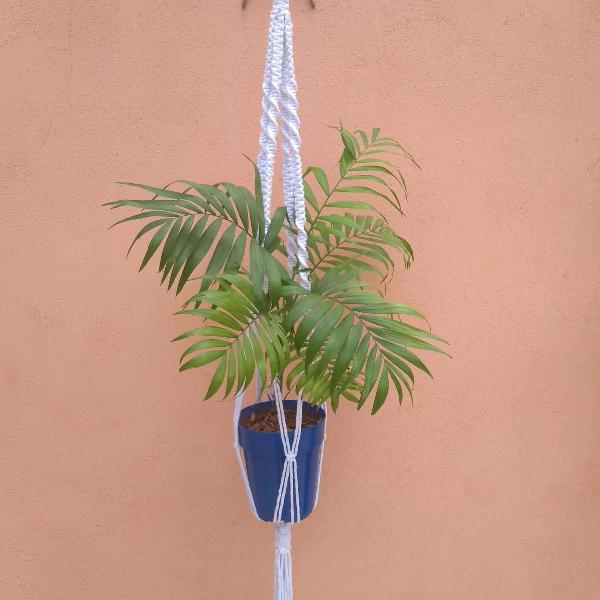 plant hanger | calla | suporte de vaso em macramê