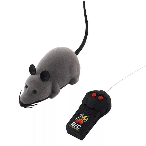 rato maluco com controle remoto divirta seu pet