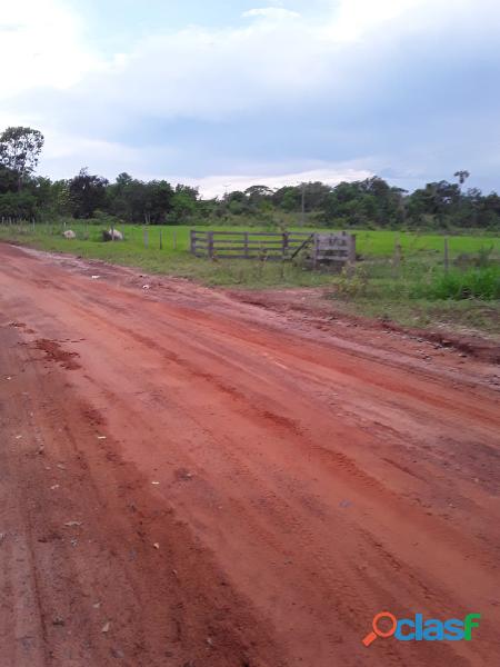 700 Alqs Ja Foi Soja Beira Rodovia Muita Água Fátima TO