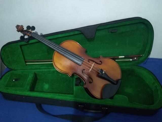 Violino Eagle profissional (divido)