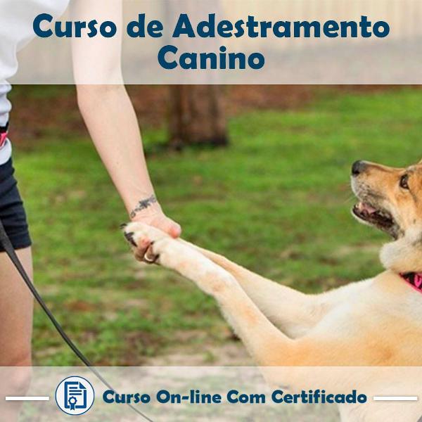 curso online de adestramento canino com certificado