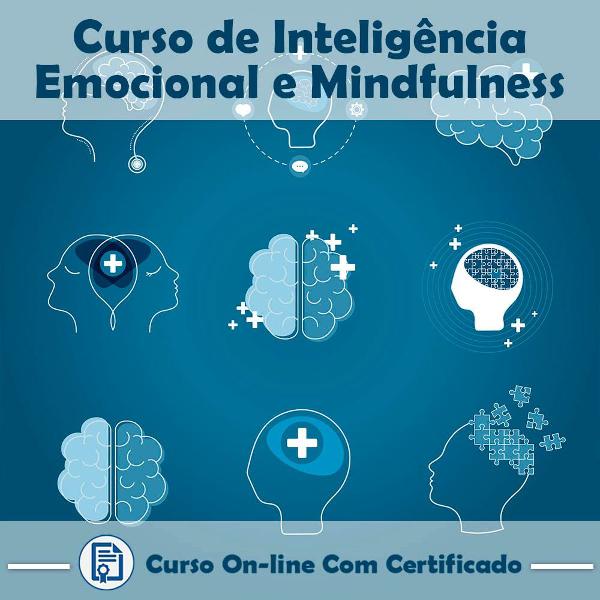 curso online de inteligência emocional e mindfulness com