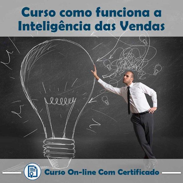 curso online em videoaula de como funciona inteligência de