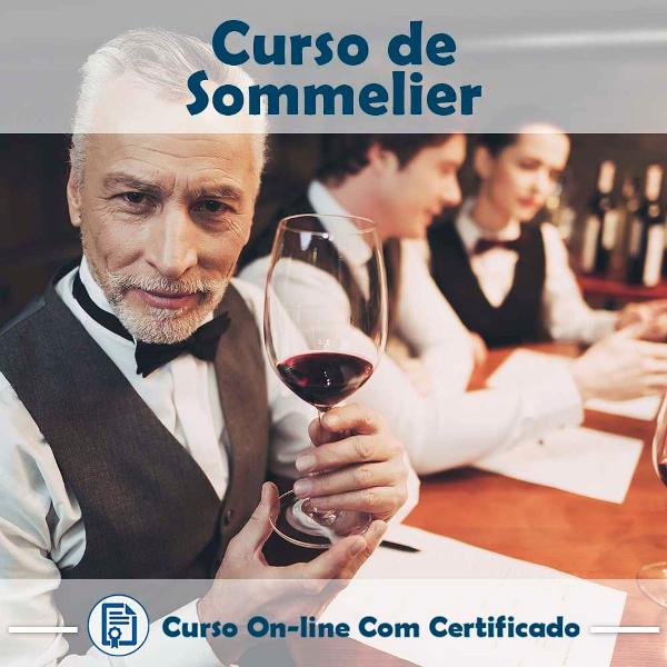 curso online em videoaula de sommelier com certificado