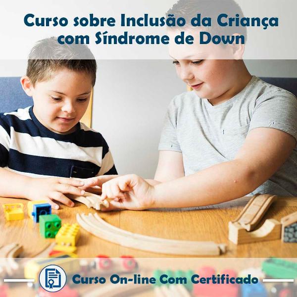 curso online em videoaula sobre inclusão da criança com