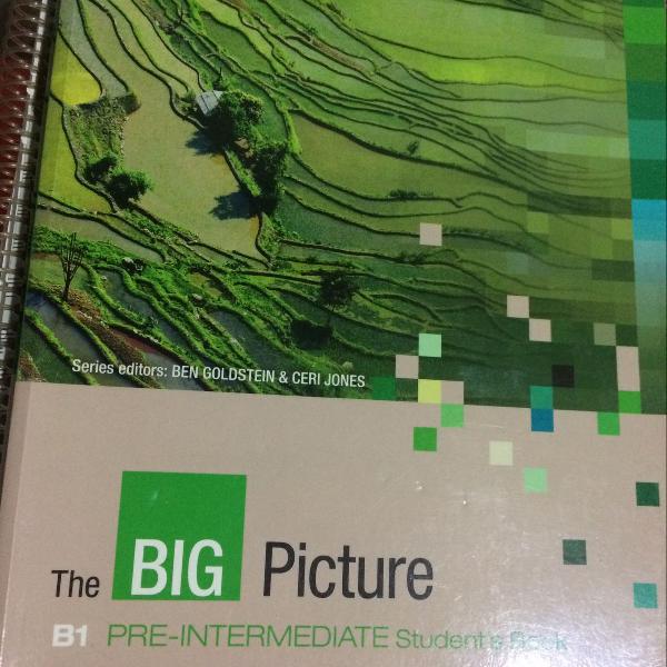 the big picture b1