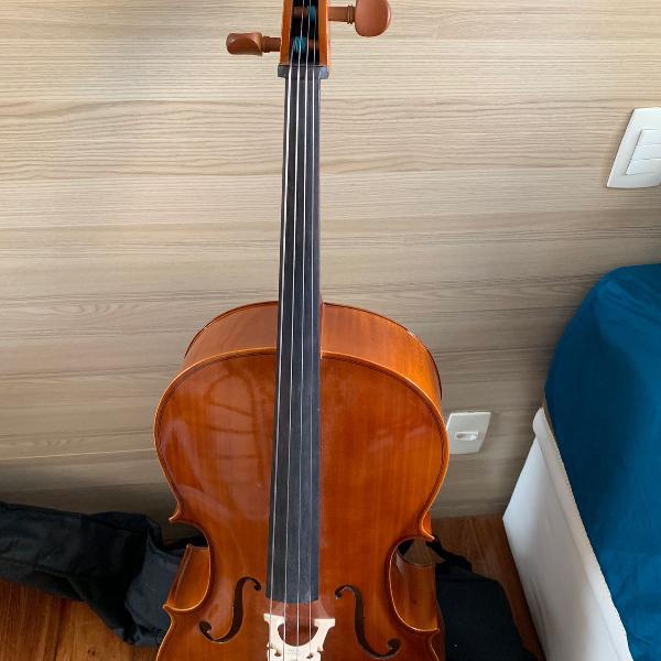 violoncelo hofman