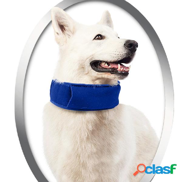Cachorro Pet Summer Cooling Collar Dog Verão Gelo