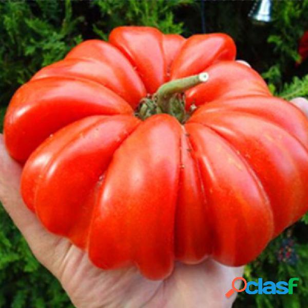 Egrow 200 Unidades / pacote Tomate sementes Jardim Planta