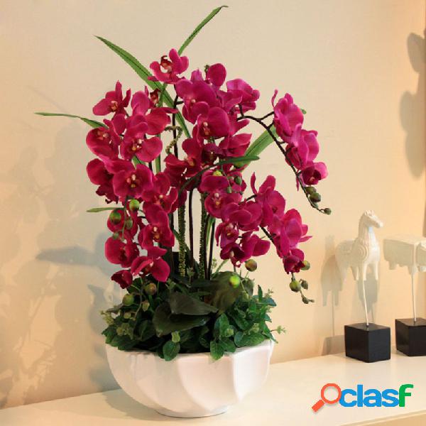 Egrow 200 pcs / Bolsa Orquídea Phalaenopsis sementes