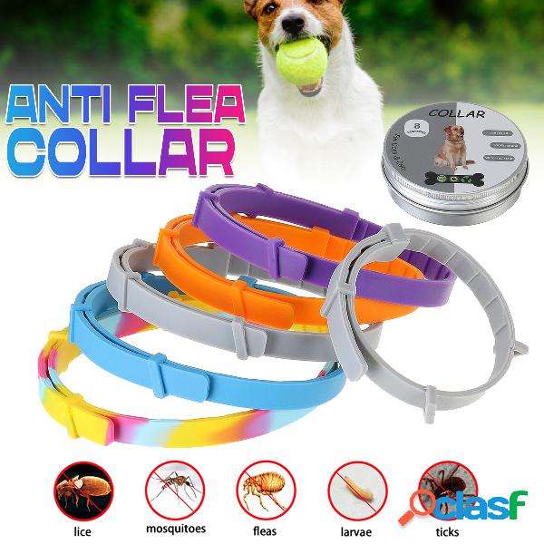 Suprimentos para animais Repelente de insetos Anti-Flea
