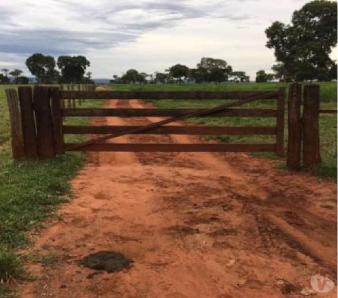 Fazenda 866 alqueires pta para gado, região Santa Vitória